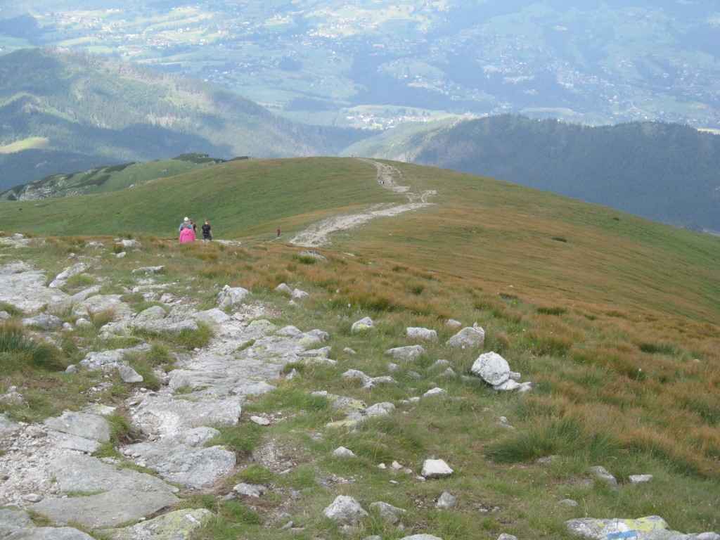 2014-08-09 12.56.57