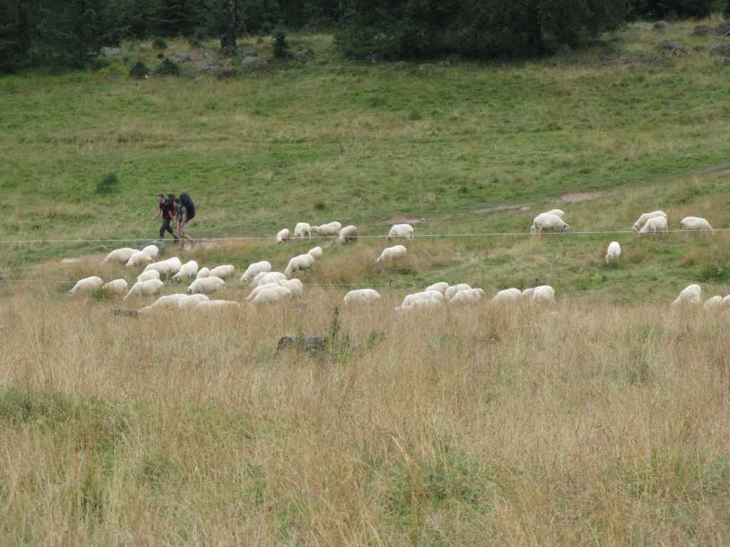 2014-08-12 10.39.29