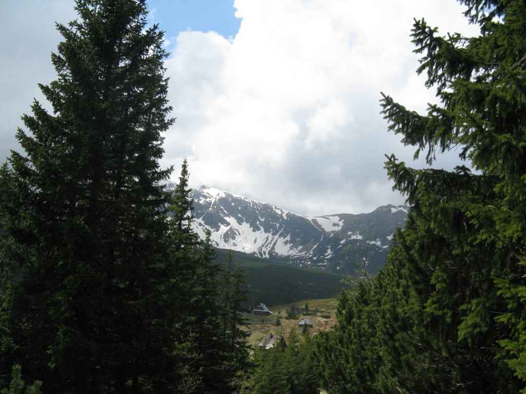 IMG_0017