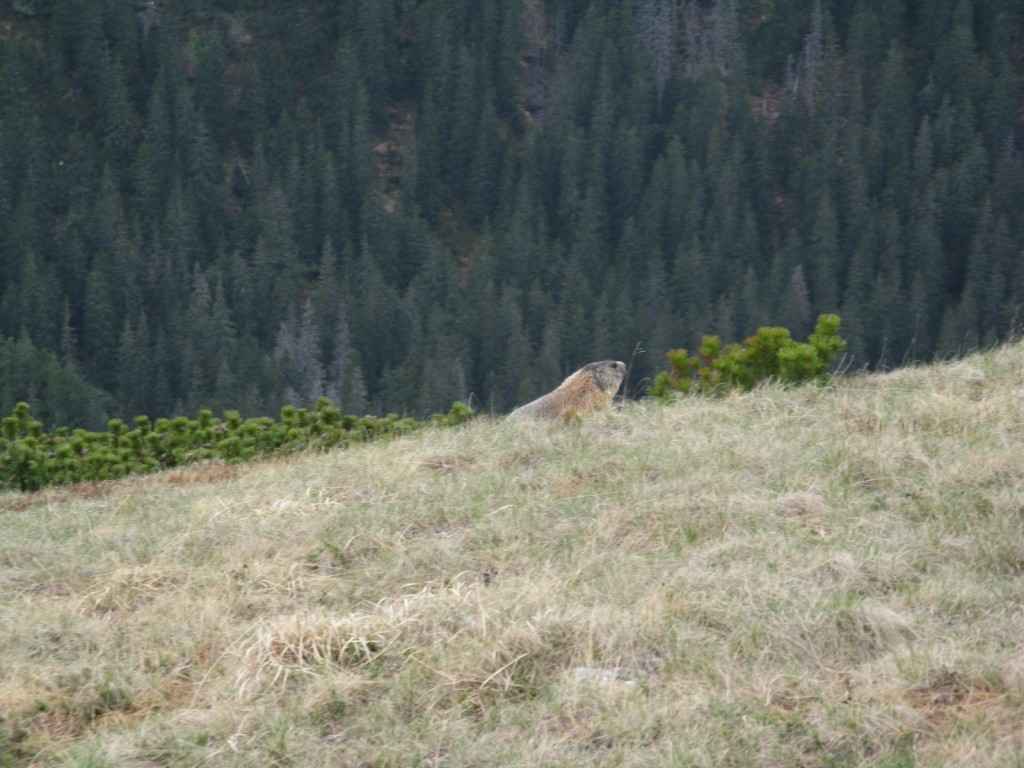 IMG_0171