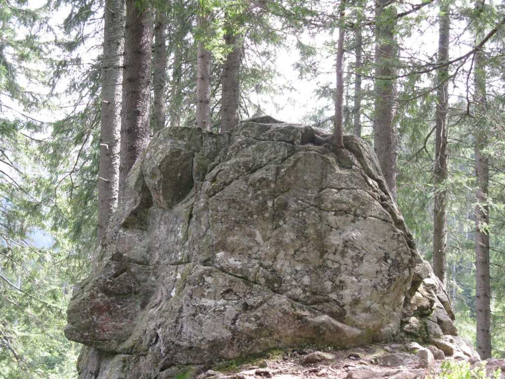 IMG_0219